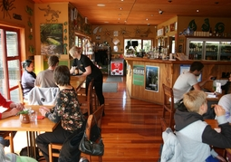 New Zealand Travel Offer