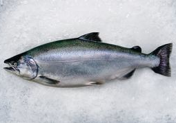 New Zealand Travel Offer