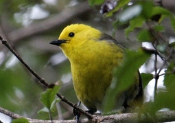 New Zealand Travel Offer