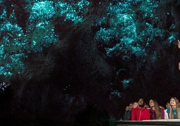 New Zealand Travel Offer