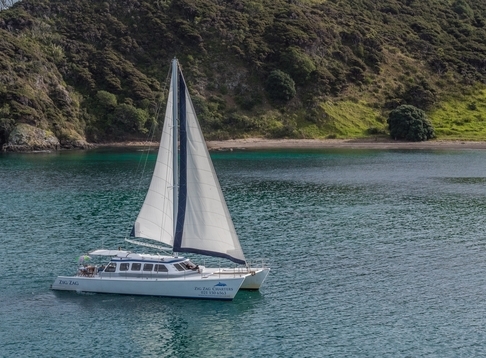ZigZag Charters