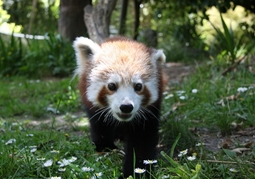 New Zealand Travel Offer