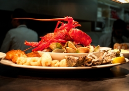 New Zealand Travel Offer