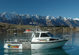 New Zealand Travel Offer