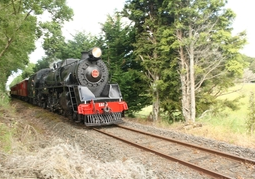 New Zealand Travel Offer