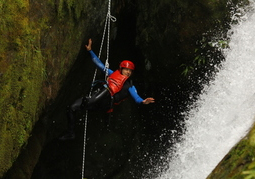 New Zealand Travel Offer