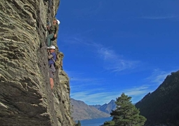 New Zealand Travel Offer