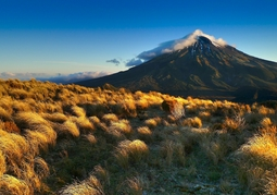 New Zealand Travel Offer