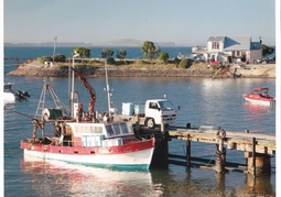 New Zealand Travel Offer