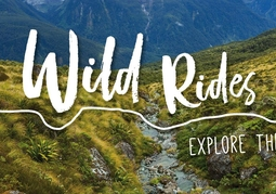 New Zealand Travel Offer