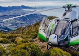 New Zealand Travel Offer