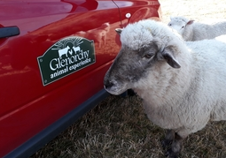 New Zealand Travel Offer