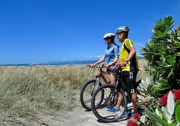 New Zealand Travel Offer