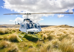 New Zealand Travel Offer