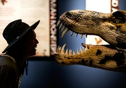 New Zealand Travel Offer