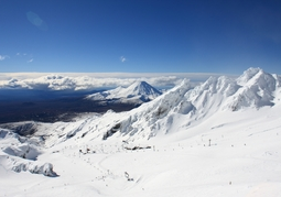 New Zealand Travel Offer