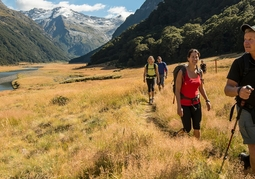 New Zealand Travel Offer