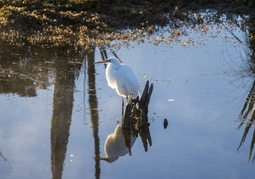 New Zealand Travel Offer