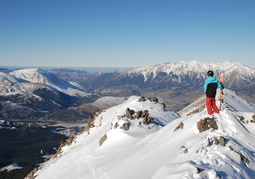 New Zealand Travel Offer