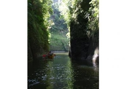 New Zealand Travel Offer