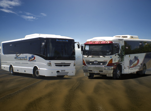 Petricevich Dune Rider