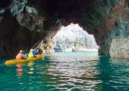 New Zealand Travel Offer