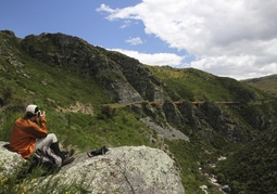 New Zealand Travel Offer