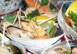 New Zealand Travel Offer